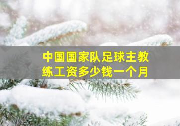 中国国家队足球主教练工资多少钱一个月