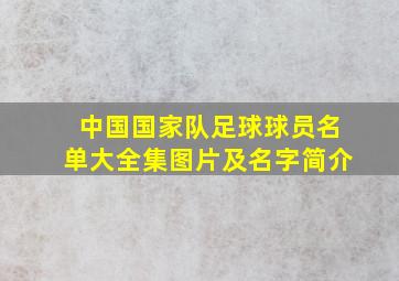 中国国家队足球球员名单大全集图片及名字简介