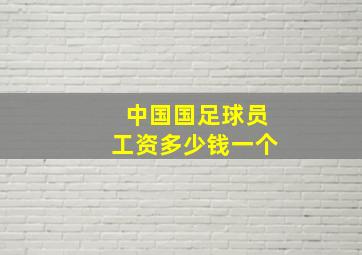 中国国足球员工资多少钱一个