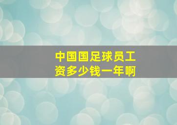 中国国足球员工资多少钱一年啊