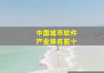 中国城市软件产业排名前十