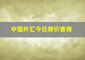 中国外汇今日牌价查询