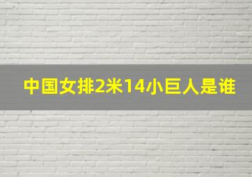 中国女排2米14小巨人是谁