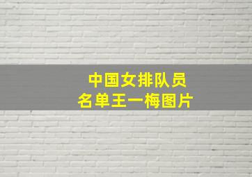 中国女排队员名单王一梅图片