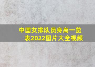 中国女排队员身高一览表2022图片大全视频