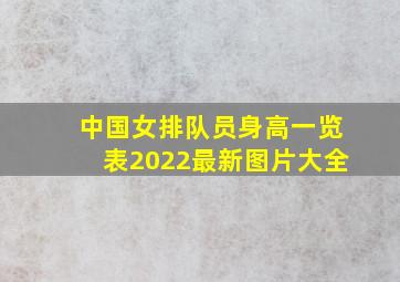 中国女排队员身高一览表2022最新图片大全