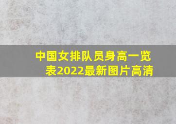 中国女排队员身高一览表2022最新图片高清