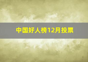 中国好人榜12月投票