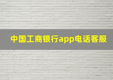 中国工商银行app电话客服