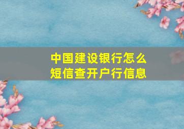 中国建设银行怎么短信查开户行信息