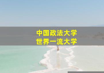 中国政法大学世界一流大学