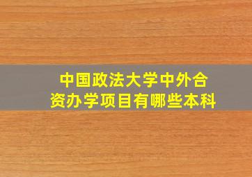 中国政法大学中外合资办学项目有哪些本科