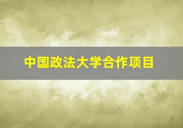 中国政法大学合作项目