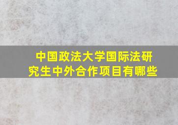 中国政法大学国际法研究生中外合作项目有哪些