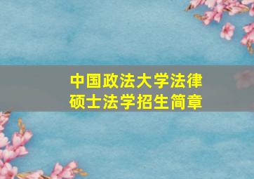 中国政法大学法律硕士法学招生简章