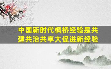 中国新时代枫桥经验是共建共治共享大促进新经验