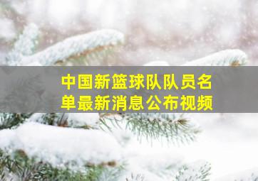 中国新篮球队队员名单最新消息公布视频