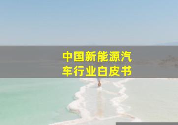 中国新能源汽车行业白皮书