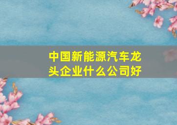 中国新能源汽车龙头企业什么公司好