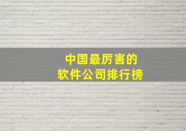 中国最厉害的软件公司排行榜