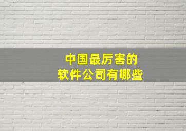 中国最厉害的软件公司有哪些