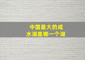 中国最大的咸水湖是哪一个湖