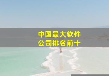 中国最大软件公司排名前十