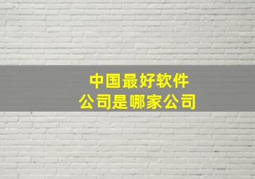 中国最好软件公司是哪家公司