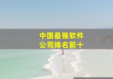 中国最强软件公司排名前十