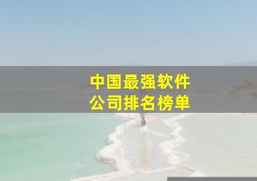 中国最强软件公司排名榜单