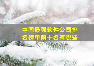 中国最强软件公司排名榜单前十名有哪些