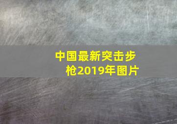 中国最新突击步枪2019年图片