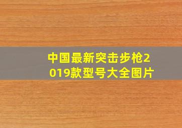 中国最新突击步枪2019款型号大全图片