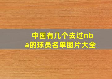 中国有几个去过nba的球员名单图片大全