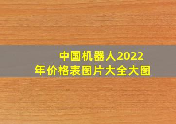 中国机器人2022年价格表图片大全大图