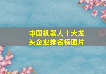 中国机器人十大龙头企业排名榜图片