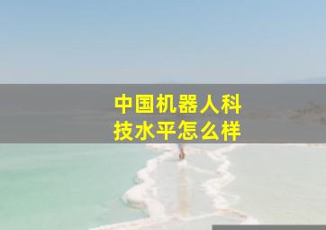 中国机器人科技水平怎么样