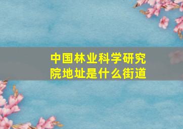 中国林业科学研究院地址是什么街道