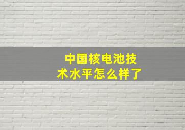 中国核电池技术水平怎么样了