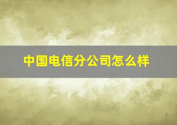 中国电信分公司怎么样