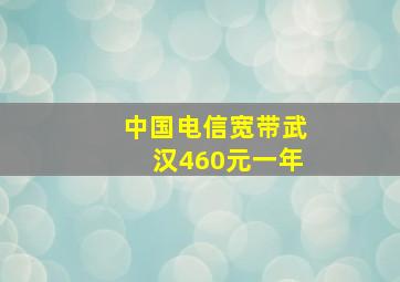 中国电信宽带武汉460元一年