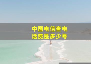 中国电信查电话费是多少号