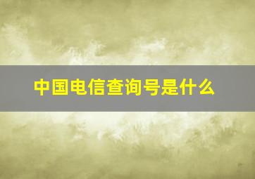 中国电信查询号是什么