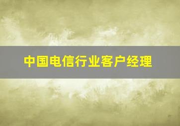 中国电信行业客户经理