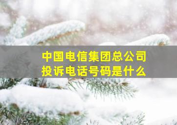 中国电信集团总公司投诉电话号码是什么