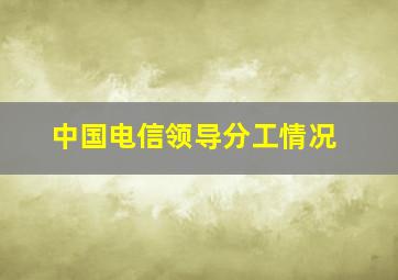 中国电信领导分工情况