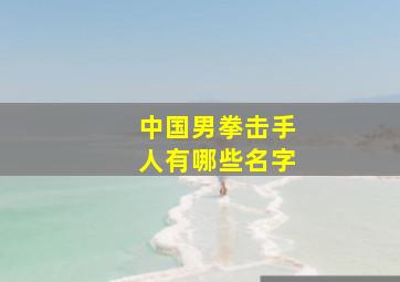 中国男拳击手人有哪些名字