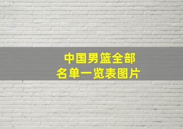 中国男篮全部名单一览表图片