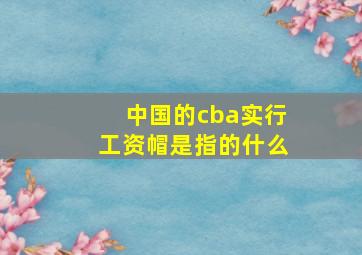 中国的cba实行工资帽是指的什么