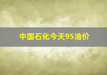 中国石化今天95油价